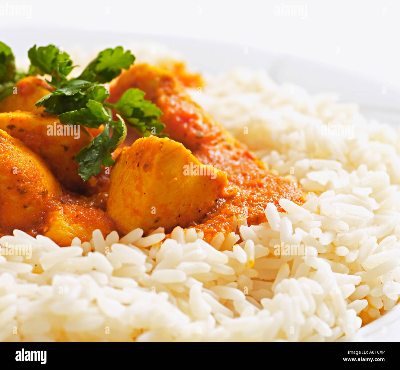 Chicken Curry and Rice Close Up Stock Photo