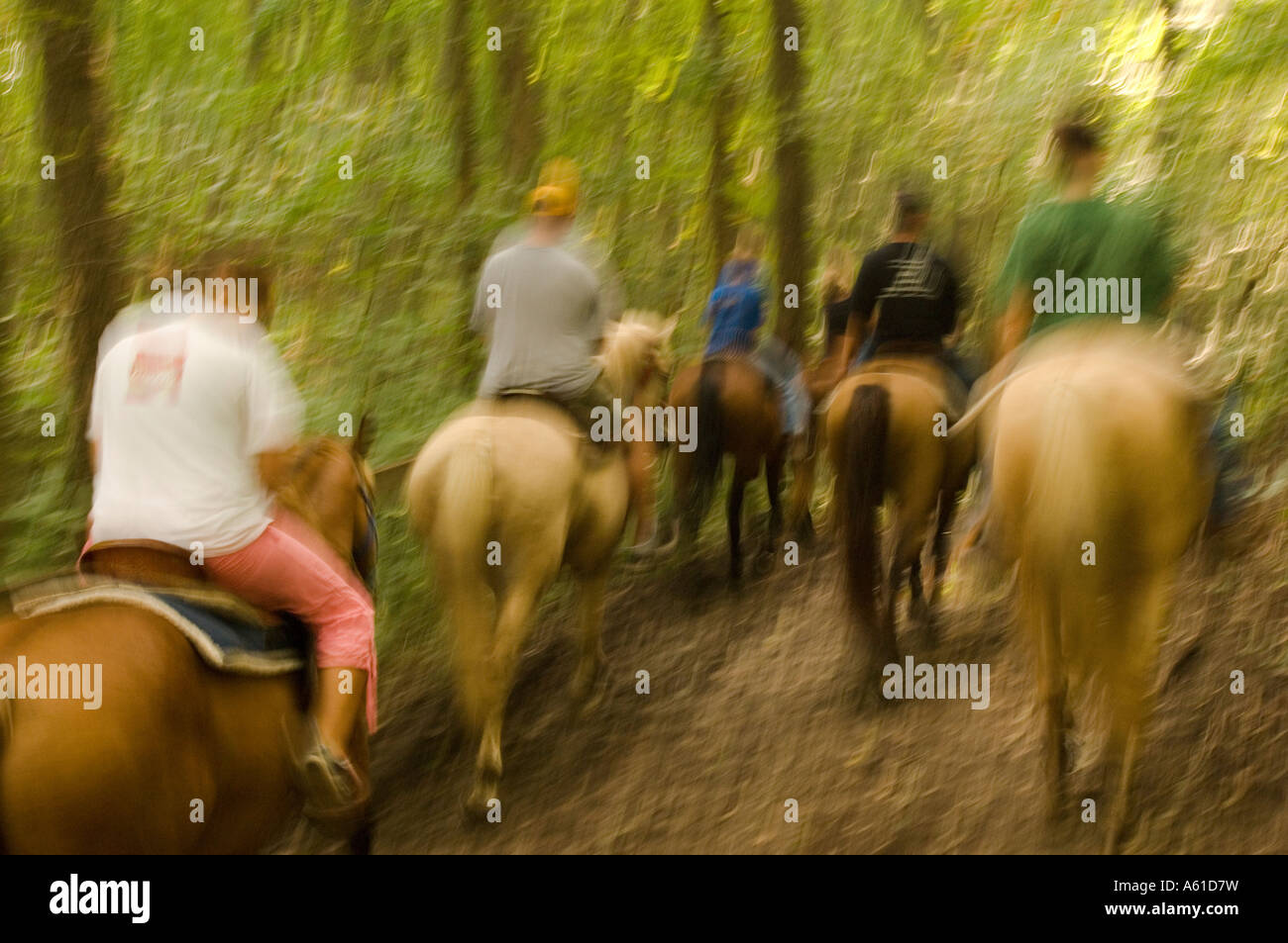 Horseback riding hires stock photography and images Alamy