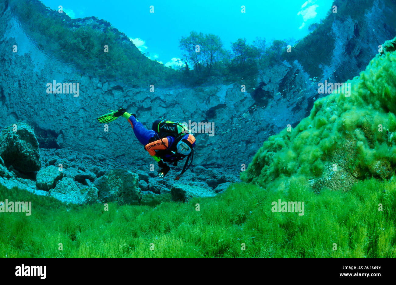 Scuba diver swimming underwater, Italy Stock Photo - Alamy