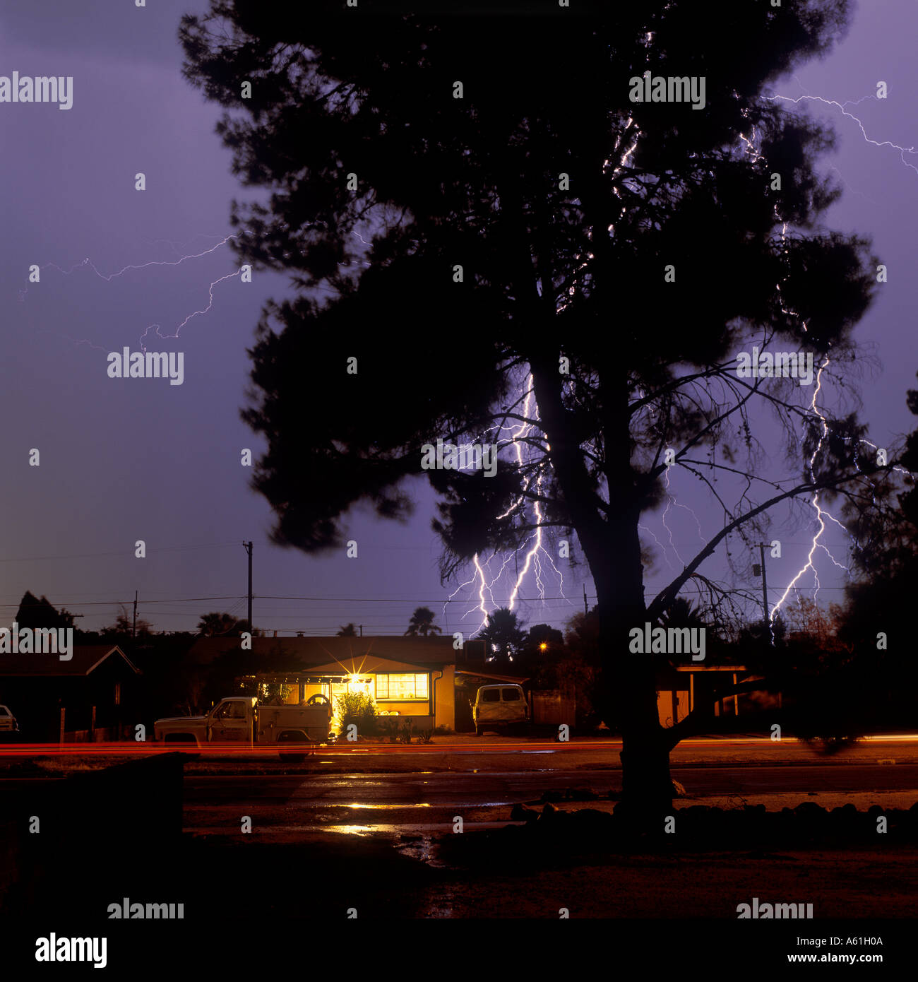 Lightning strikes behind a house in a neighborhood in Tucson, Arizona, USA. A tree is silhouetted in the foreground. Stock Photo