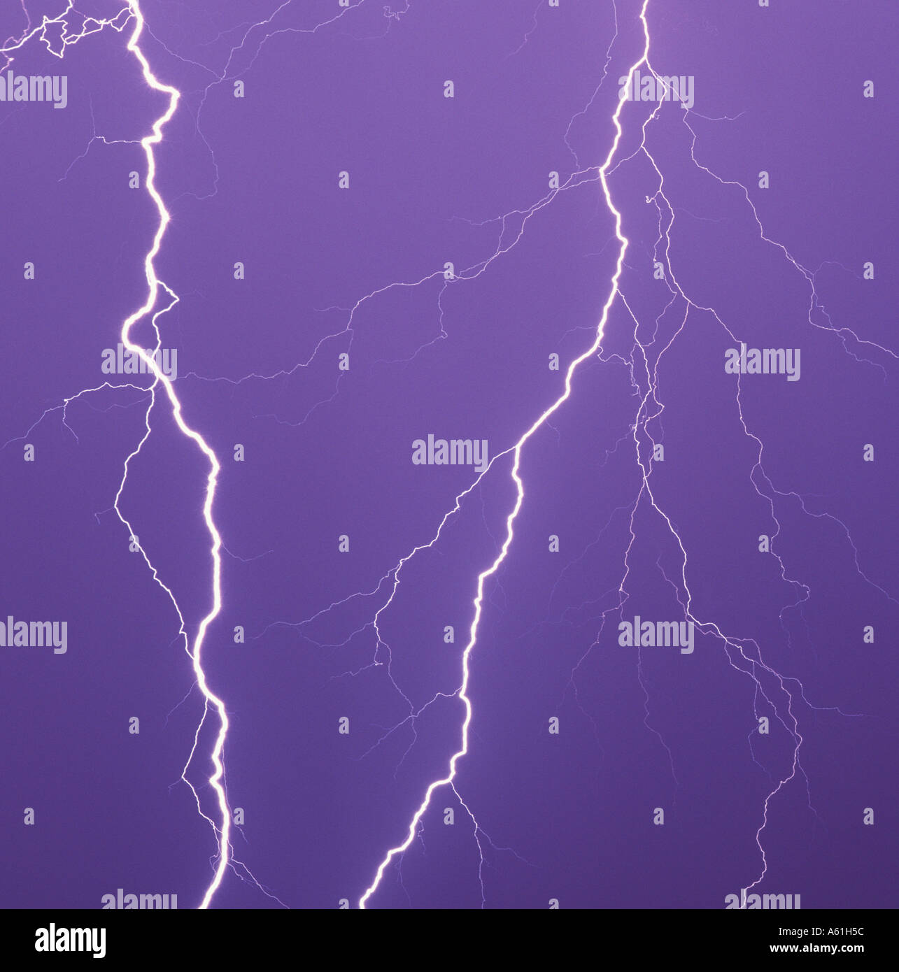 Large lightning bolts strike against a purple sky in Tucson, AZ, USA. Stock Photo