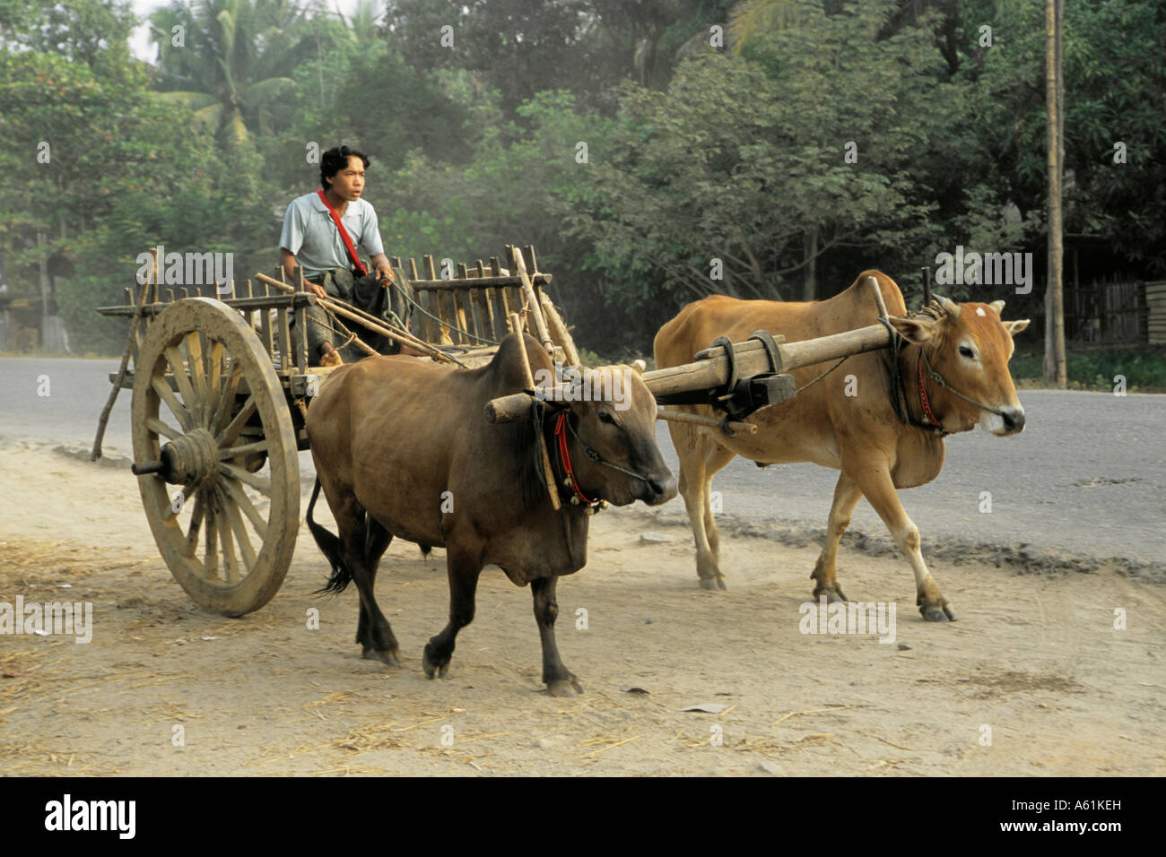 Myanmar Burma Bago oxcart Stock Photo
