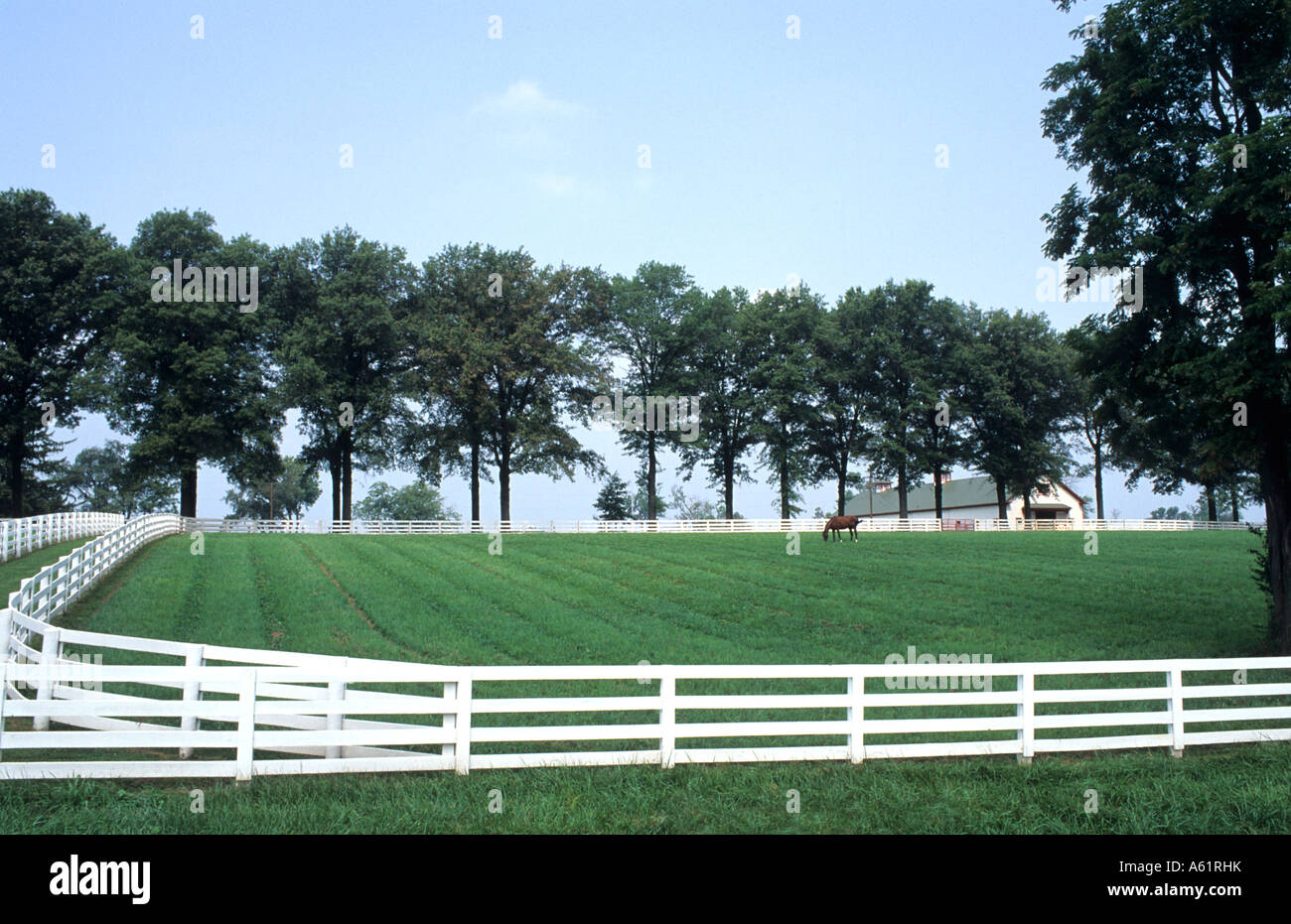 Beautiful expensive horse farm with white fence for Kentucky Derby type
