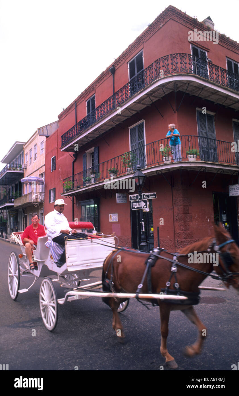 Famous horse carriage ride thru the French Quarter in wonderful city of