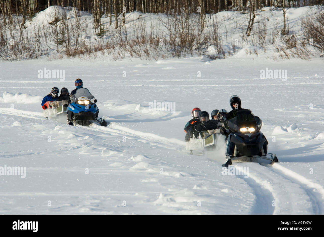 Tourists in snowmobiles, Luosto, Lapland, Northern Finland, Europe, Arctic Stock Photo
