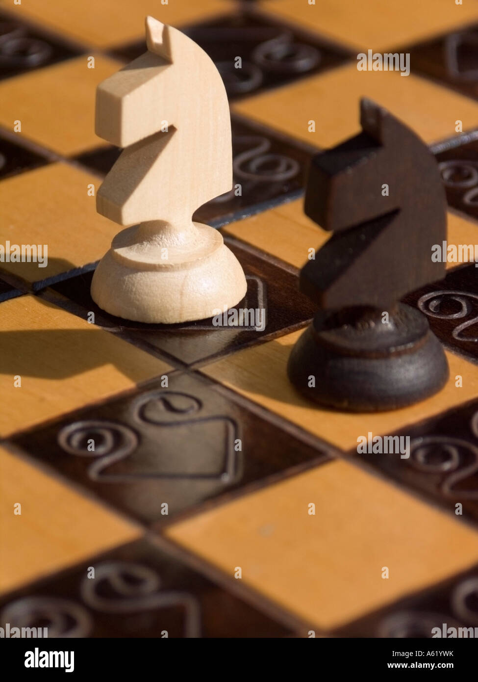 Chessman two balck and white Knights Stock Photo