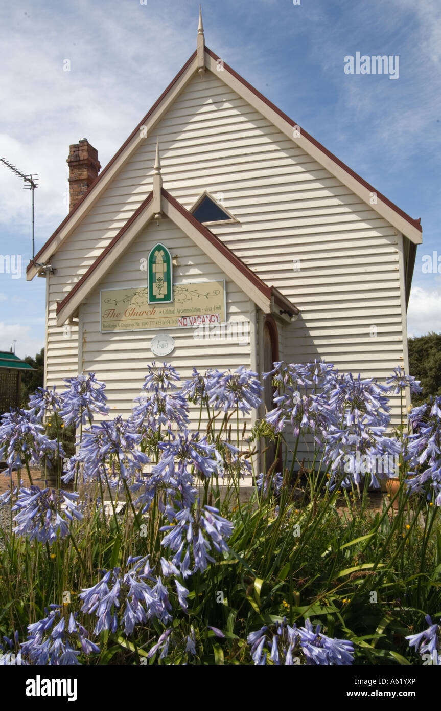 African blue lily (Agapanthus africanus) growing in front of the church with No Vacancy sing Strahan Tasmania Australia Stock Photo