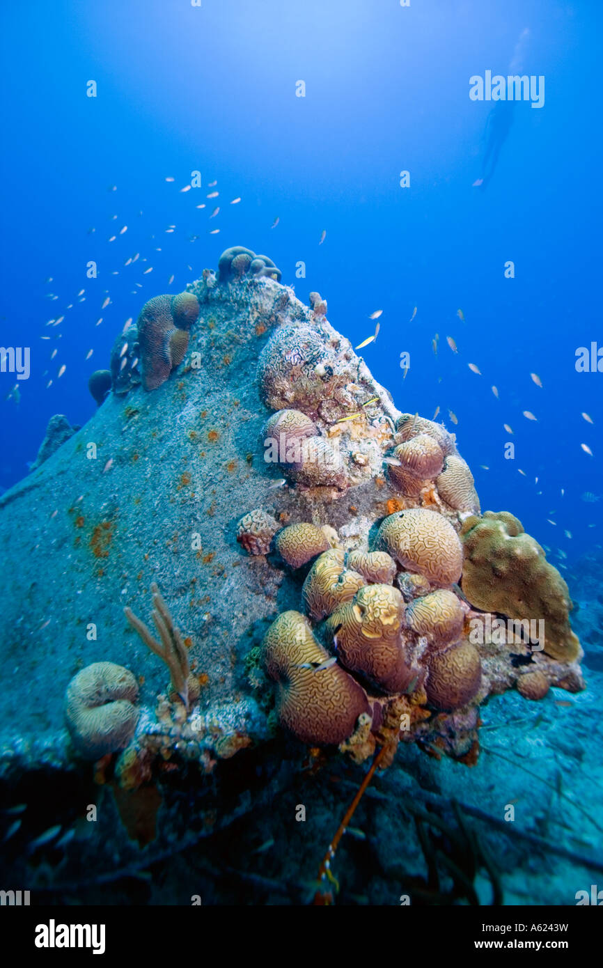 Small wreck Stock Photo