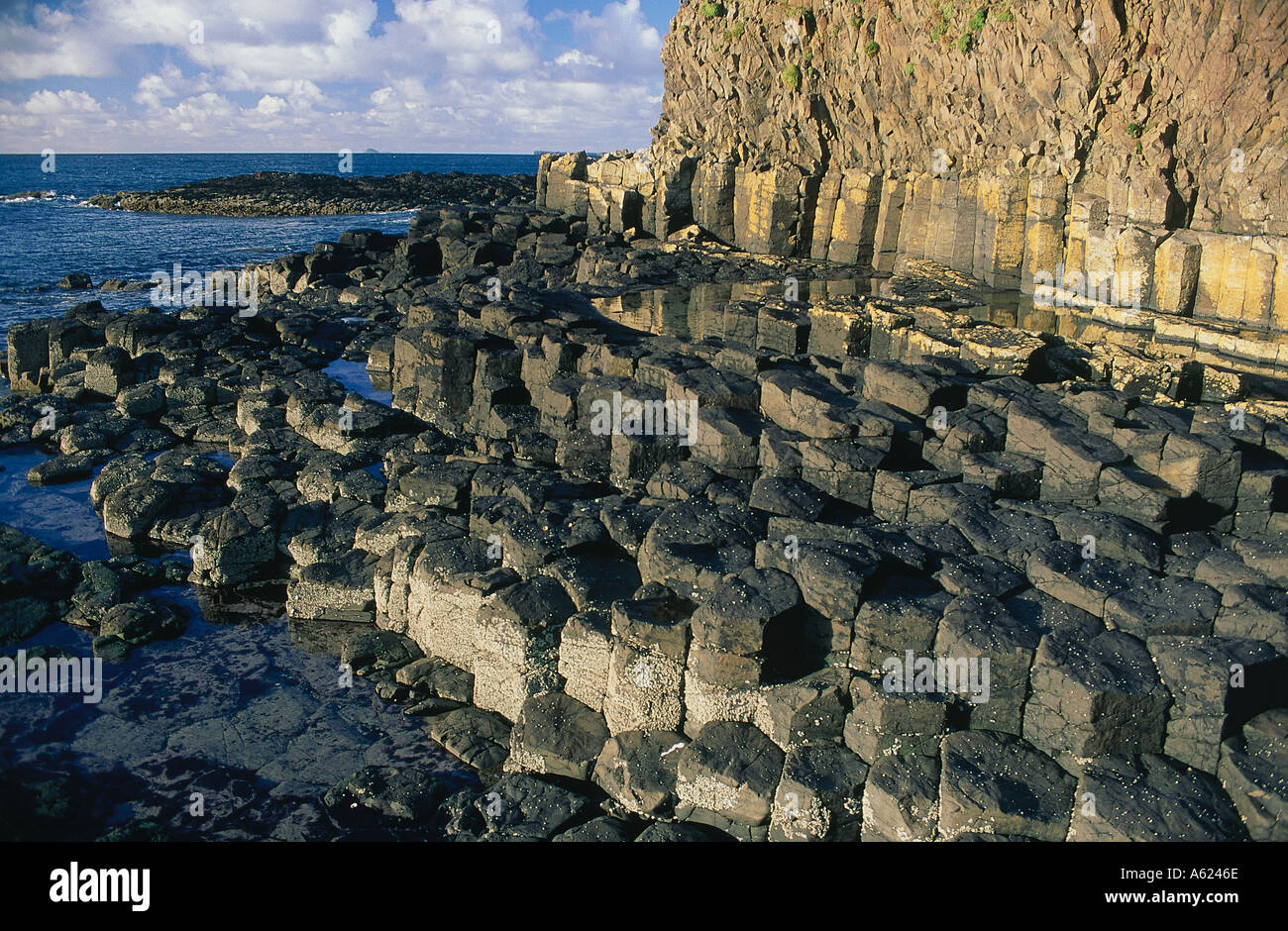 SCOTLAND Isle Of Mull Basalt rock formations on the coastline. Stock Photo