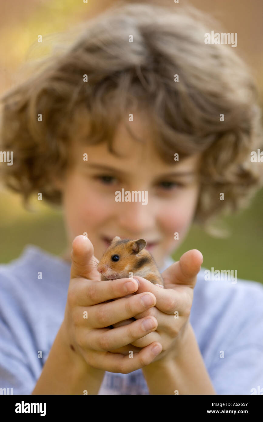 Man Holding A Tiny Beautiful Hamster Stock Photo - Download Image