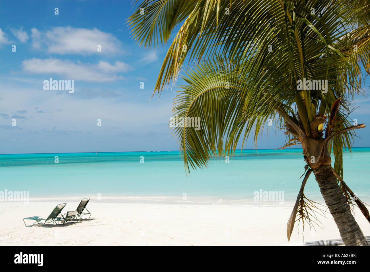 Palm tree two deck chairs hi-res stock photography and images - Alamy