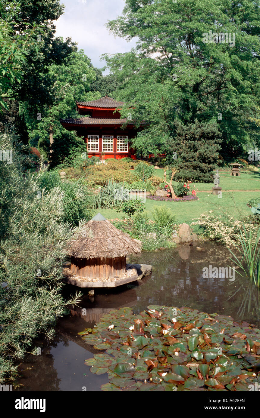 Leverkusen, Japanischer Garten, Teich und Teehaus Stock Photo Alamy