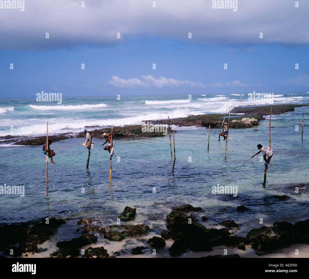Stilt fishermen each stilit position is handed down from father to son  Stock Photo