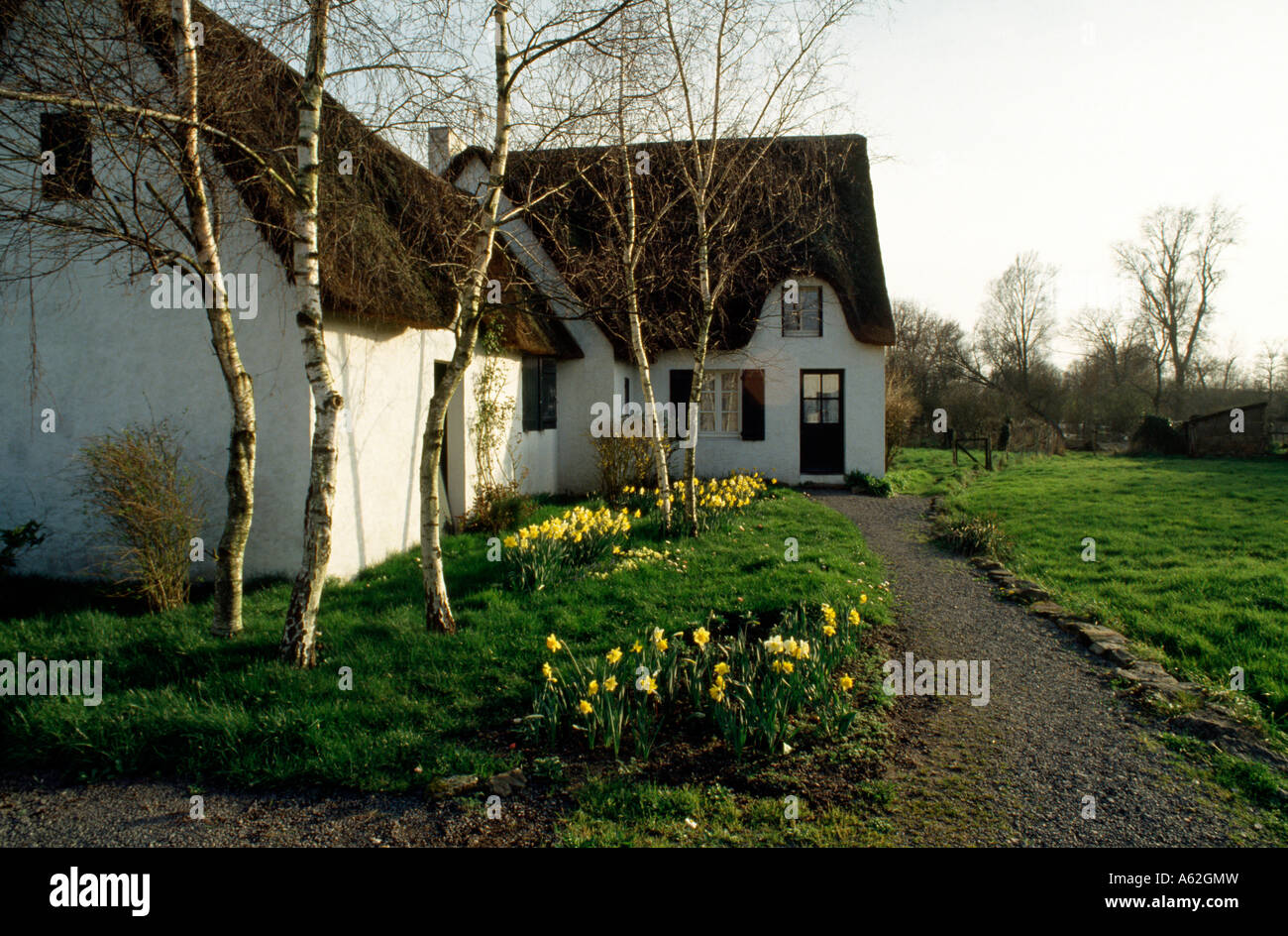 Ile de Fédrun (Loire-Atlantique), Vorgarten, "Hauseingang mit Birken und Narzissen Stock Photo