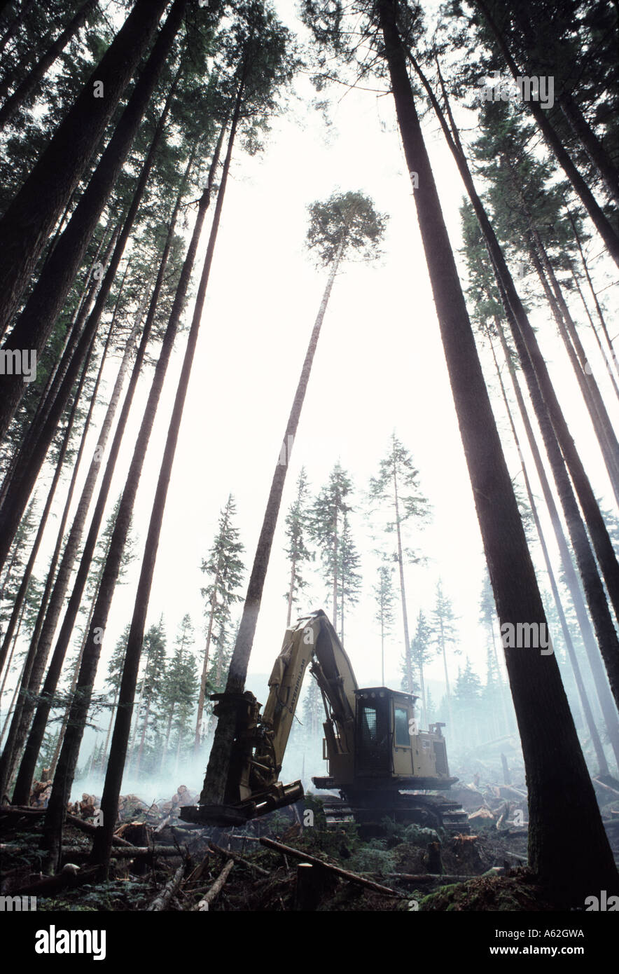 Machine used to cut down trees deals
