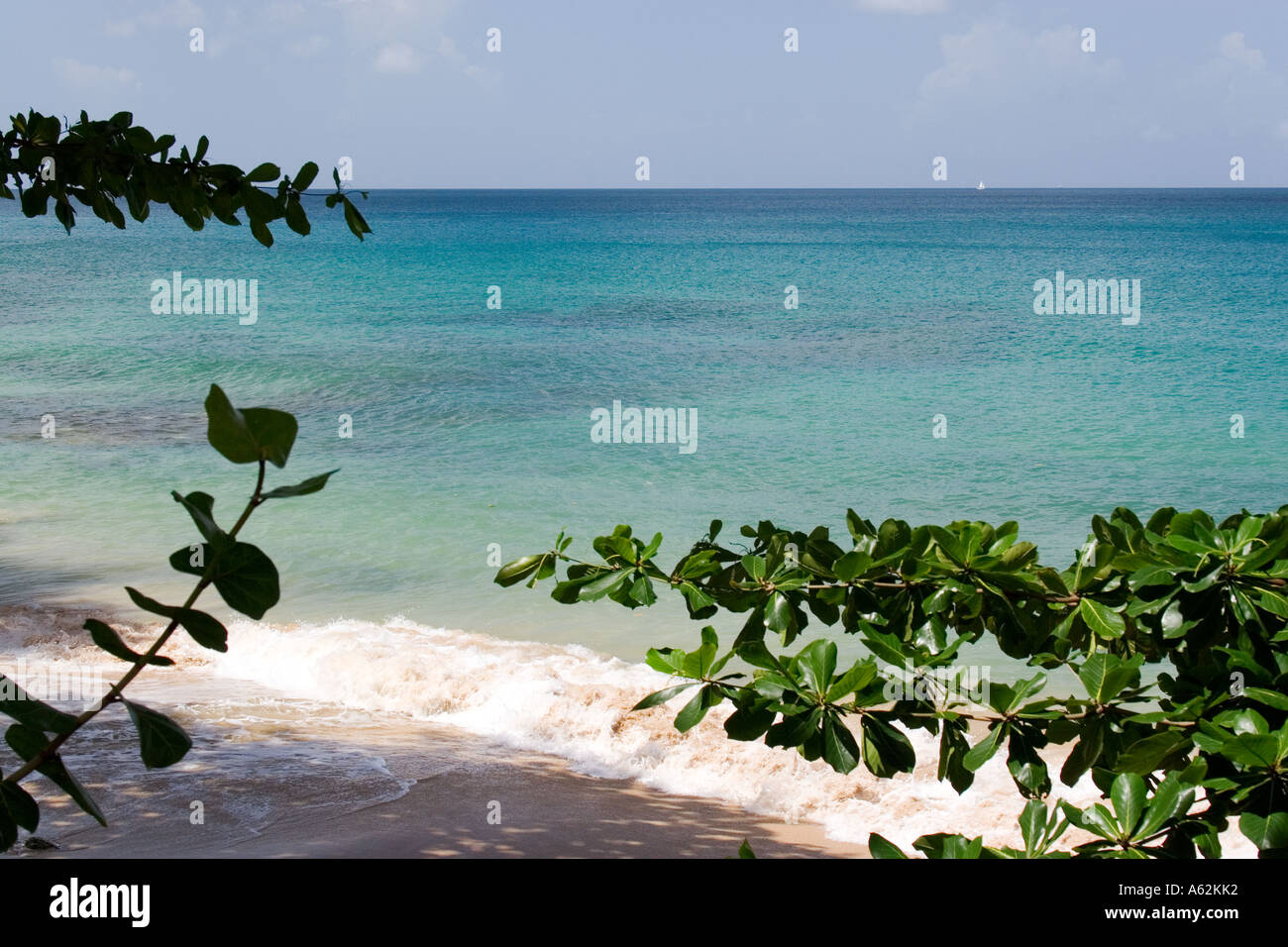 st lucia la toc beach