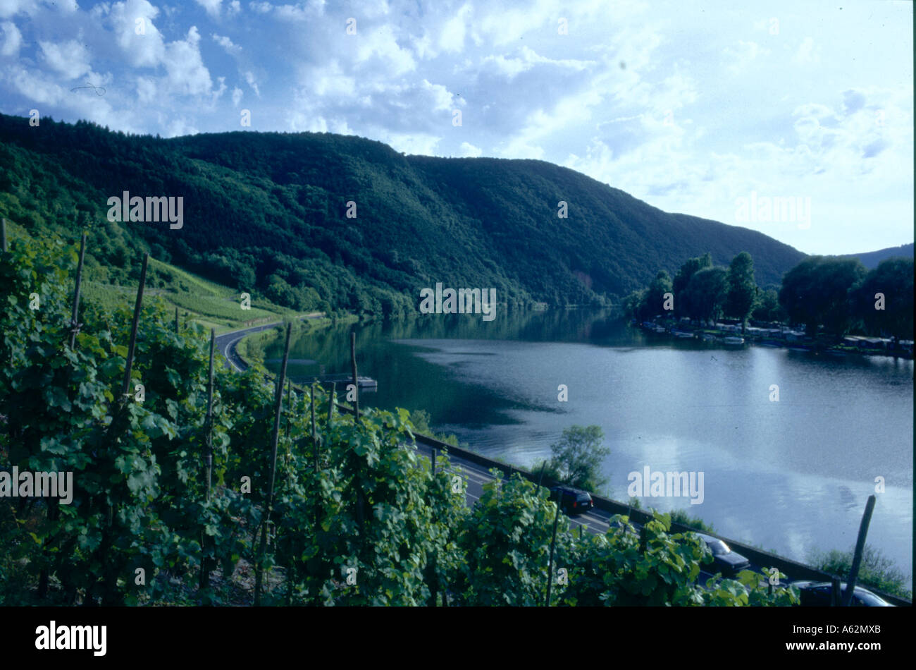 High angle view of a river, Moseltal River, Rhineland Palatinade, Germany Stock Photo