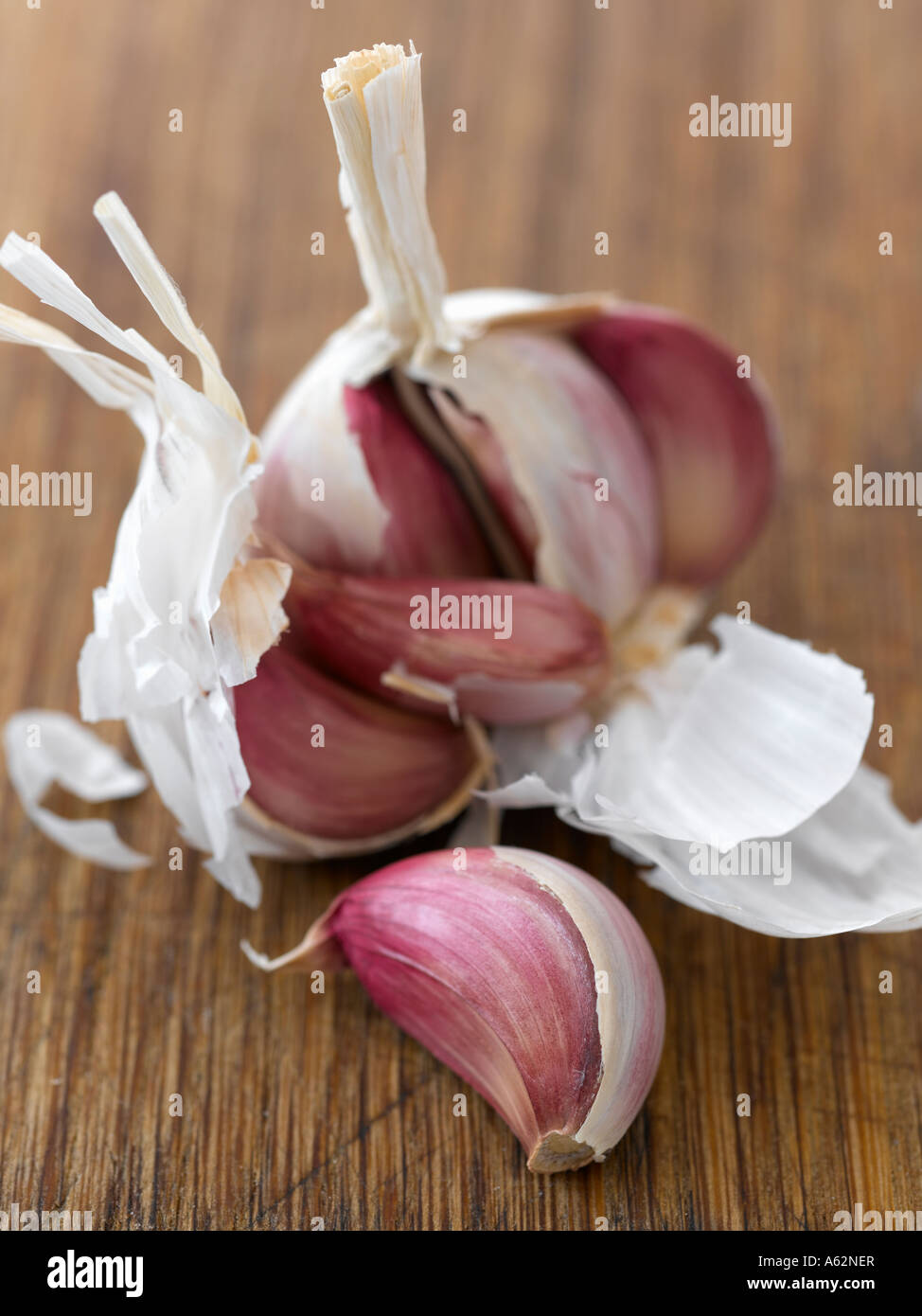 Garlic shot with professional medium format digital camera Stock Photo