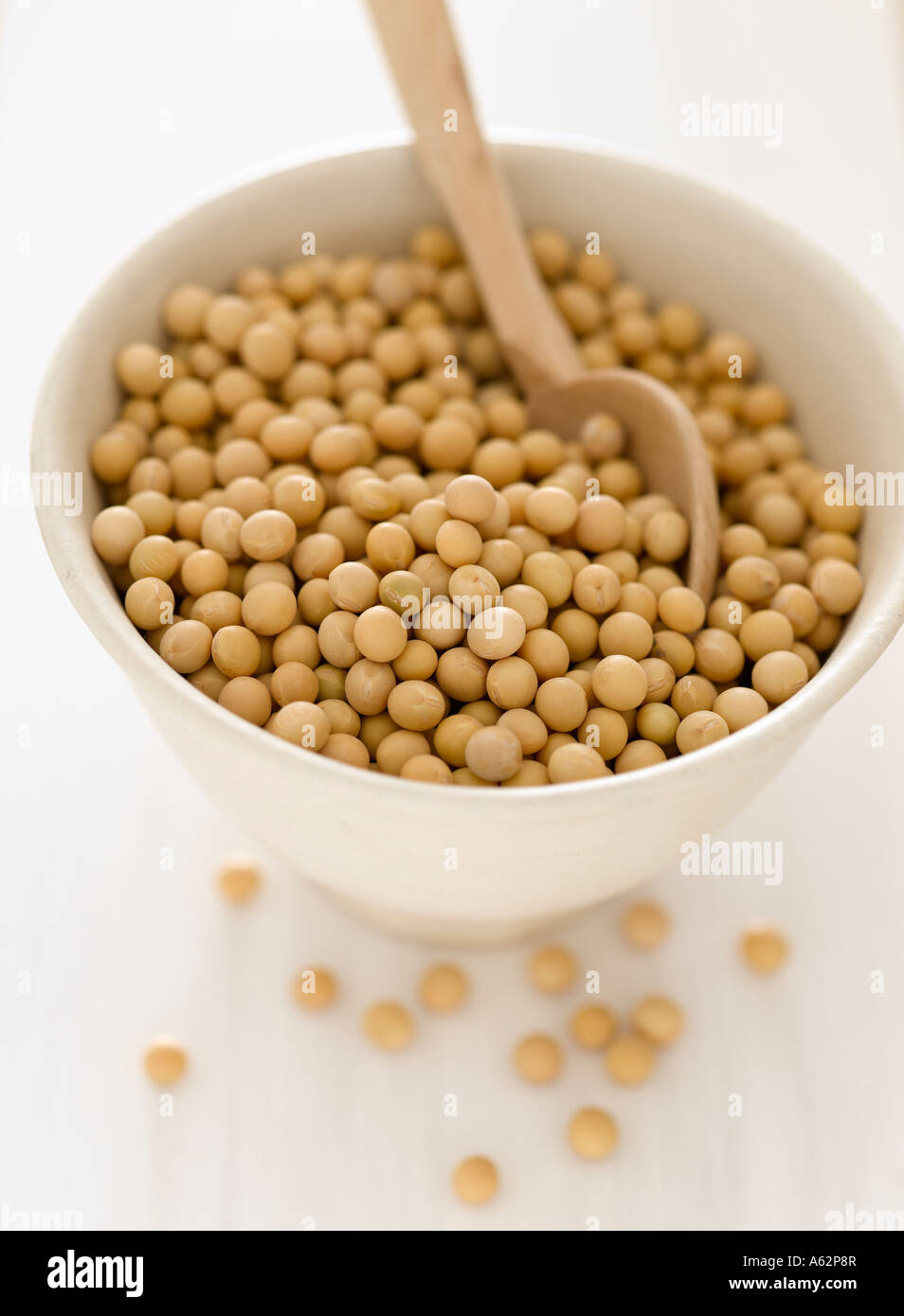Still life soya beans shot with professional medium format digital Stock Photo