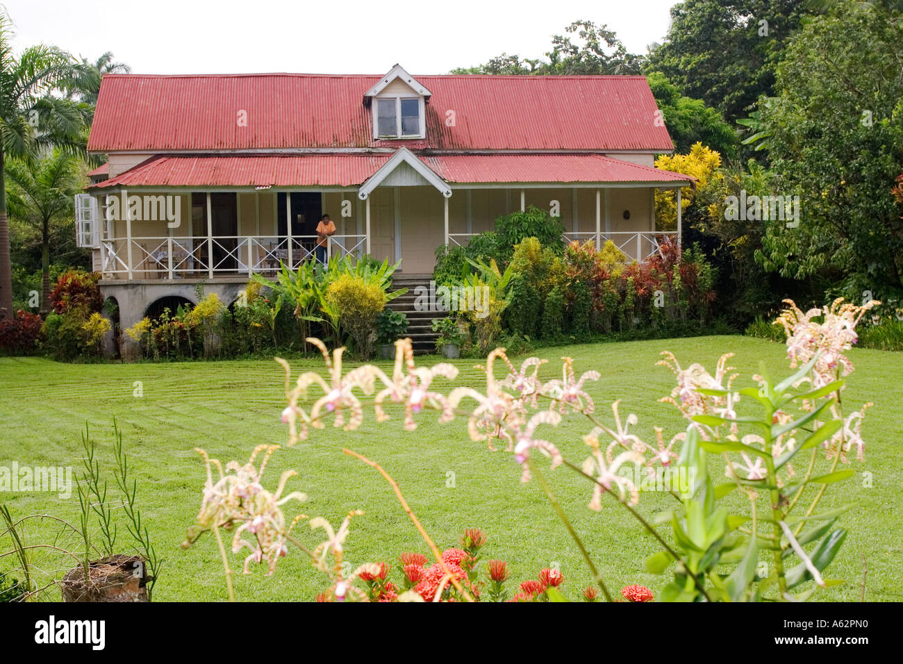 St. Lucia Rural Cocoa Plantation St Lucia High Resolution Stock Photography and Images ...