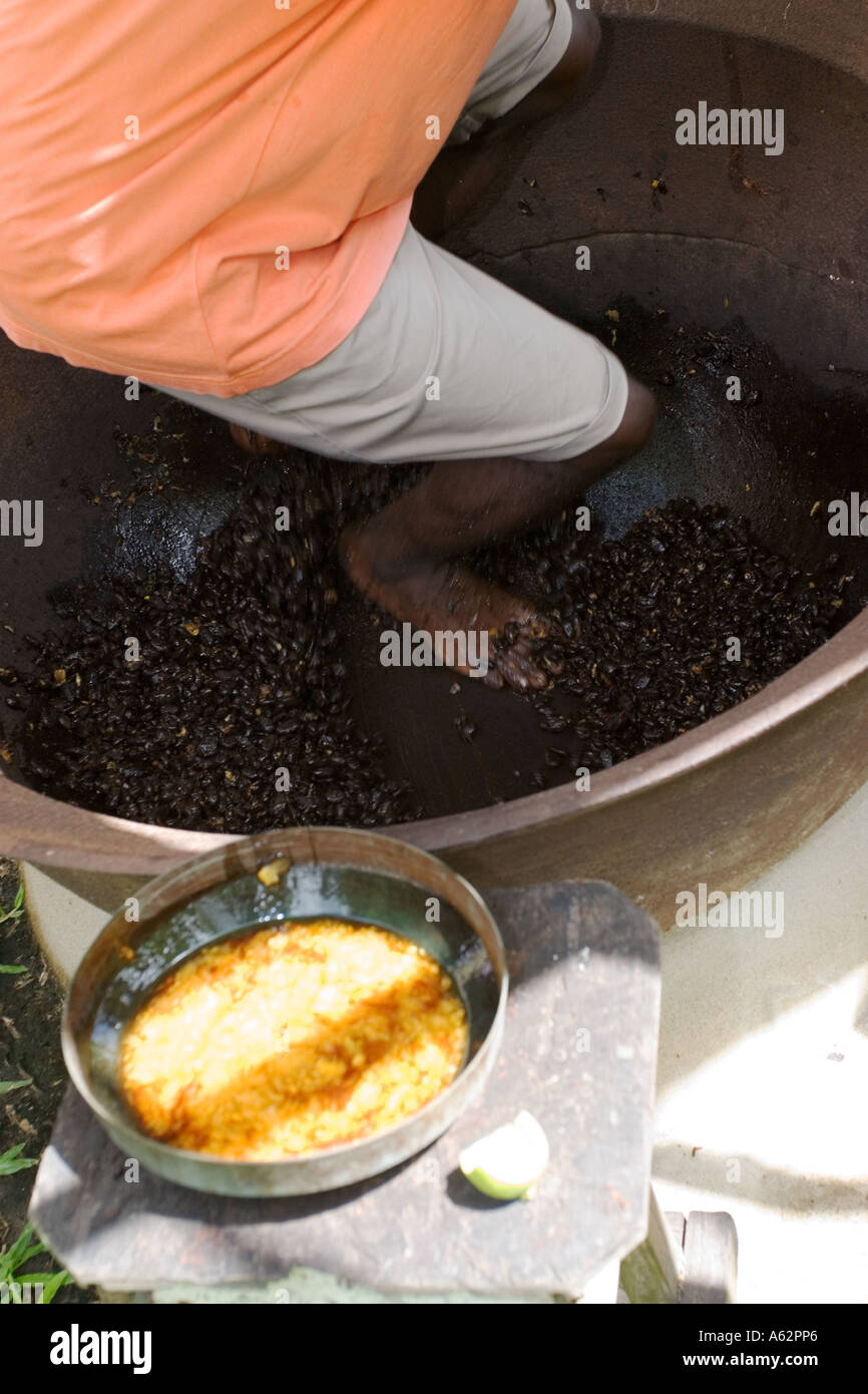 Cocoa Dance St Lucia Stock Photo Alamy