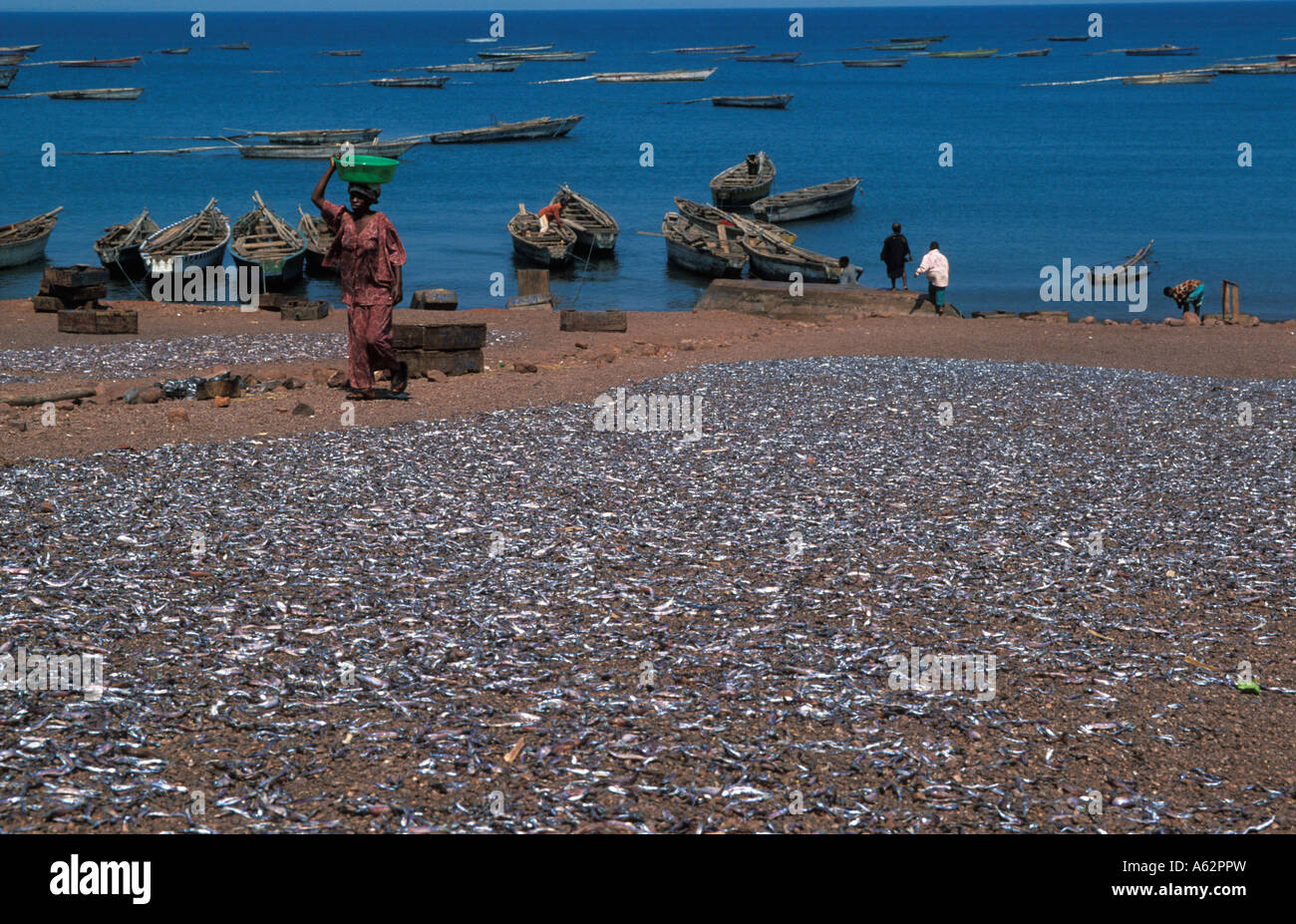 fish drying on the beach Katonga fishing village near Kigoma Lake Tanganyika Tanzania Stock Photo