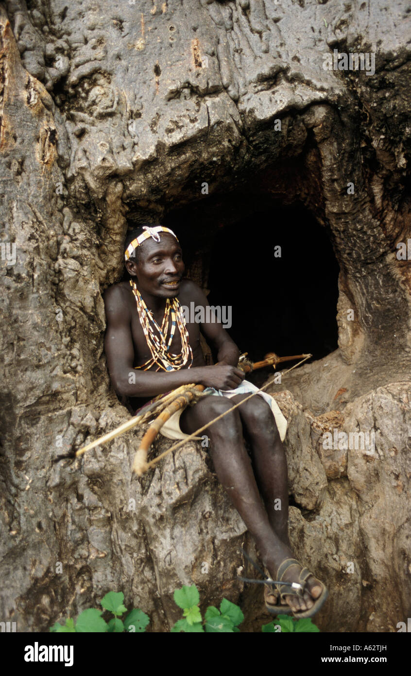 Hadza hunter sitting in a hollow baobab tree from which they collect honey Lake Eyasi Tanzania Stock Photo