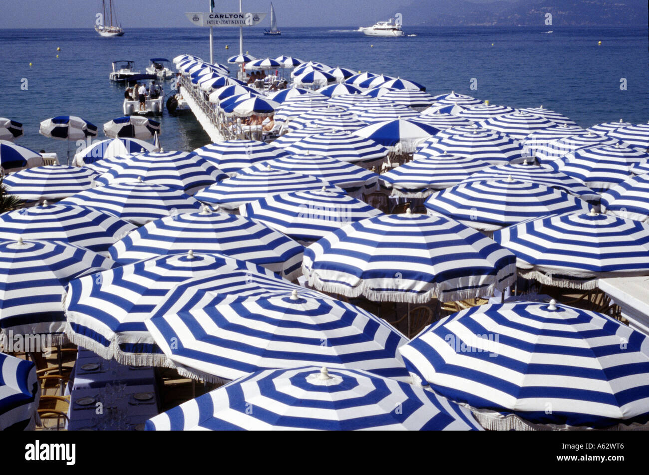 blue and white parasols at the Carlton Hotel beach in Cannes South France  Europe Stock Photo - Alamy