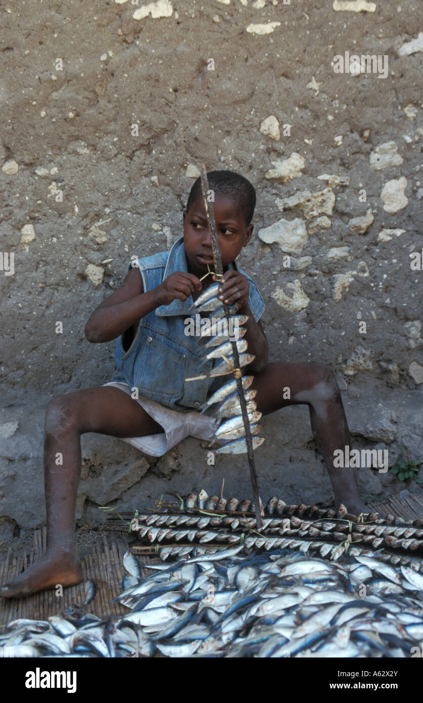Boy Preparing Fish To Smoke Sticks With Fishes Are Put Around A Fire To 