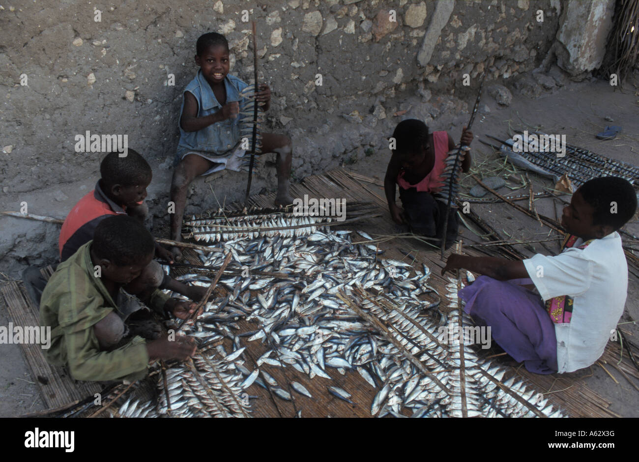 Children Preparing Fish To Smoke Sticks With Fishes Are Put Around A Children Preparing Fish To Smoke Sticks With Fishes Are Put Around A