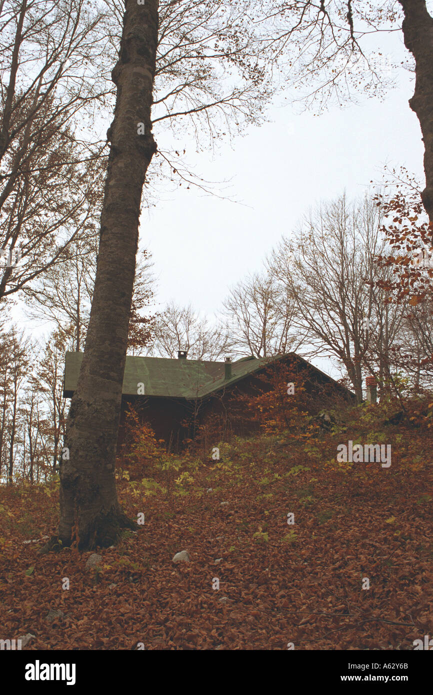 wooden cabin in forest in autumn Stock Photo - Alamy