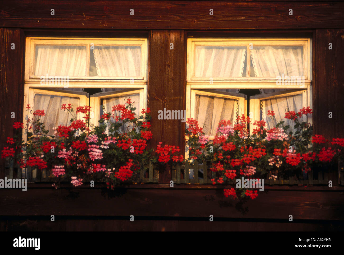 Window box of house, Black Forest, Baden-Wuerttemberg, Germany Stock Photo