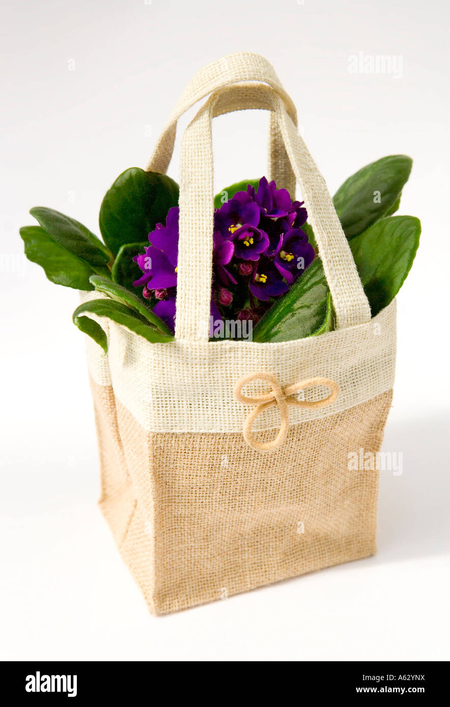 Canvas bag hi-res stock photography and images - Alamy