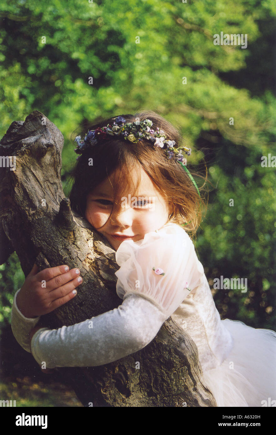 cute child hugging a tree Stock Photo
