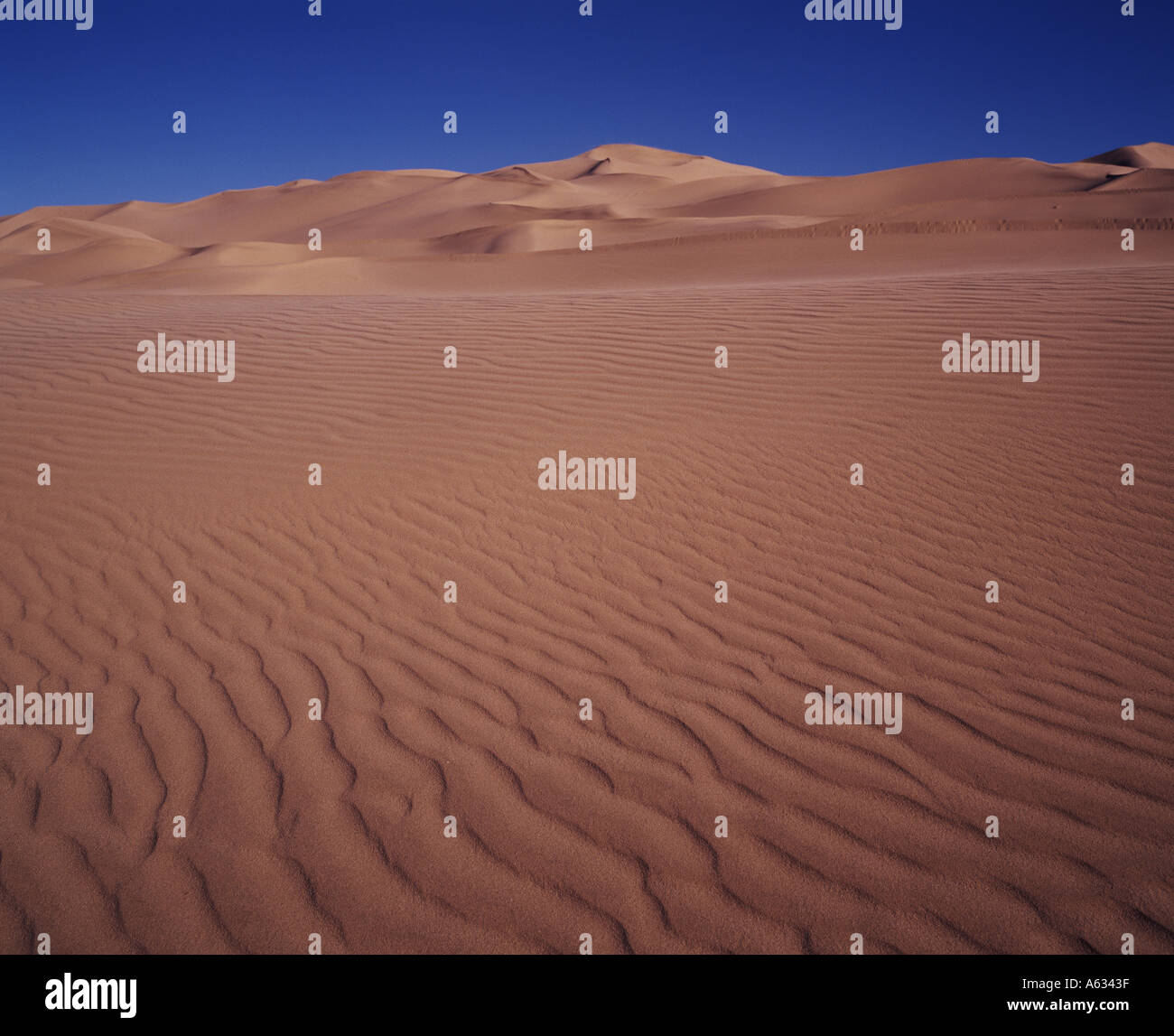 landscape with dunes Stock Photo Alamy