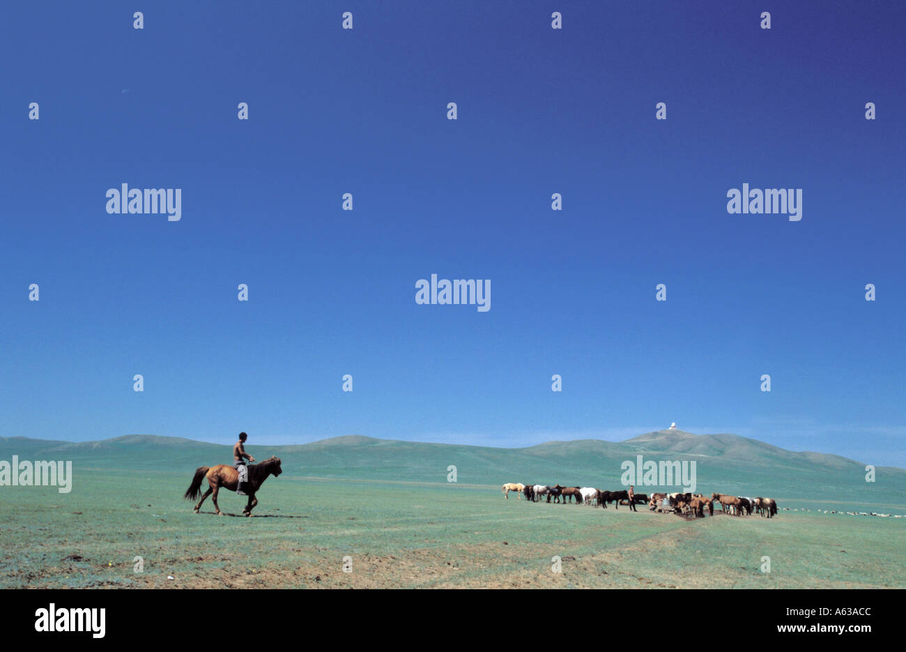 Mongolian horse herder in the steppe hi-res stock photography and ...