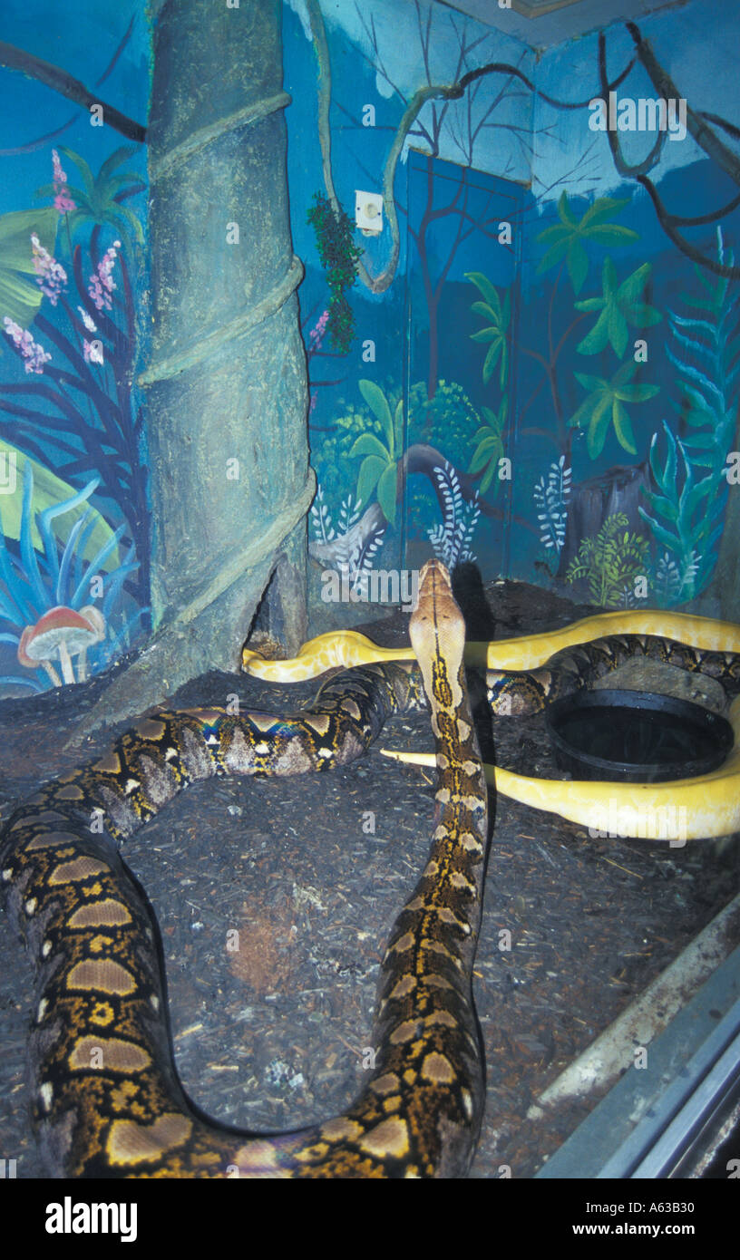 Burmese Python Louisiana Purchase Garden Zoo Monroe Louisiana La