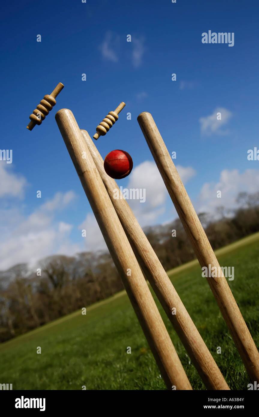 Cricket stump out hires stock photography and images Alamy