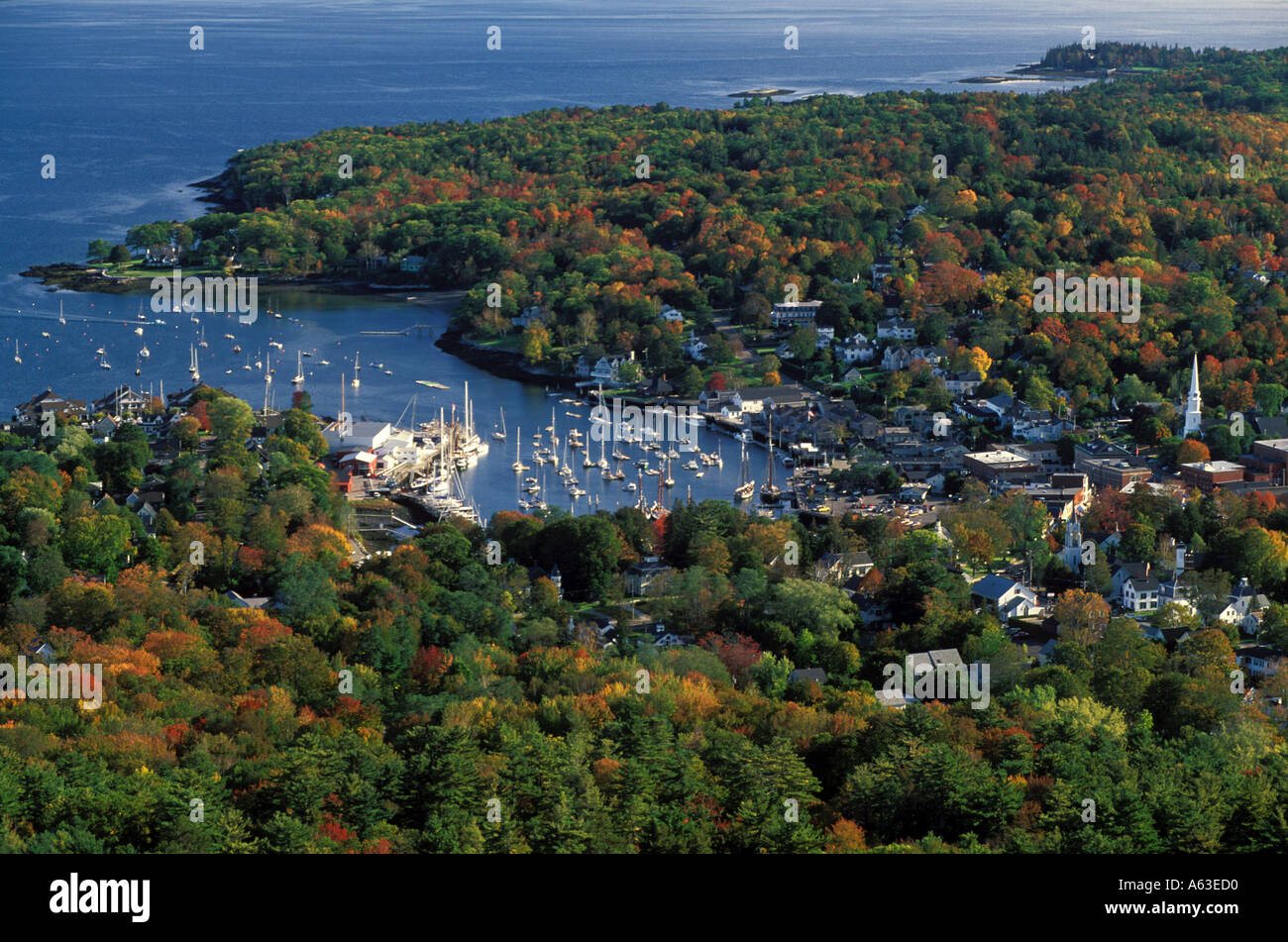 are dogs allowed mount battie maine