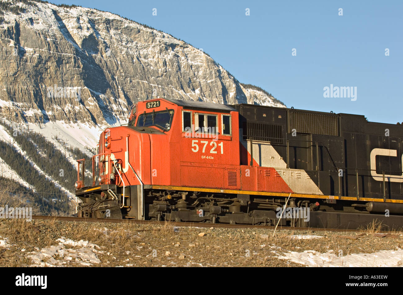 CN freight train in the mountains Stock Photo - Alamy