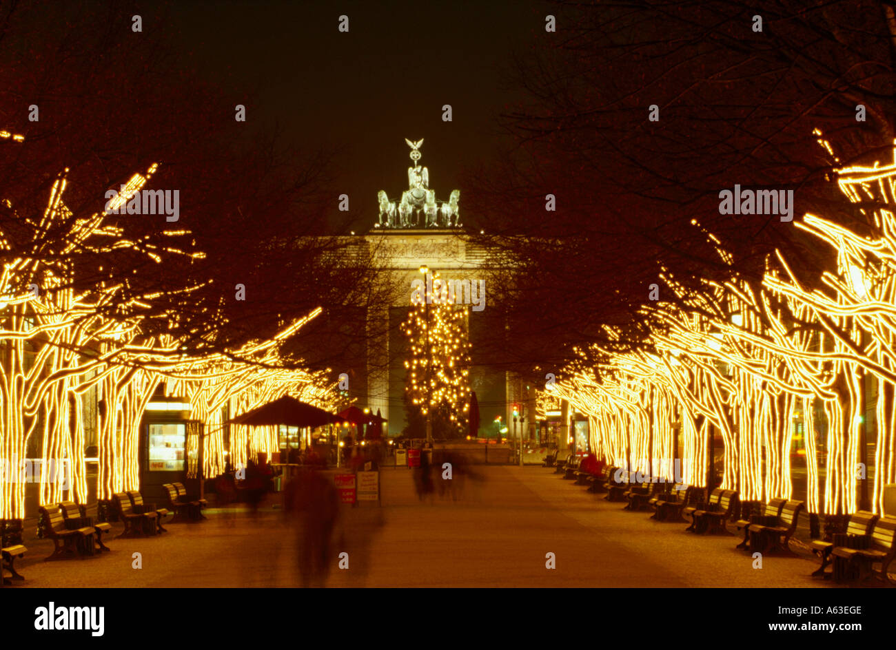 Christmas trees lit up at night, Brandenburg Gate, Pariser Platz