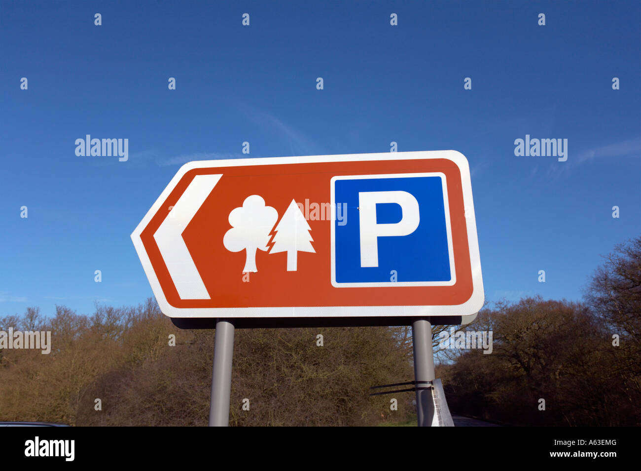 Car Park sign in Epping Forest UK Stock Photo Alamy