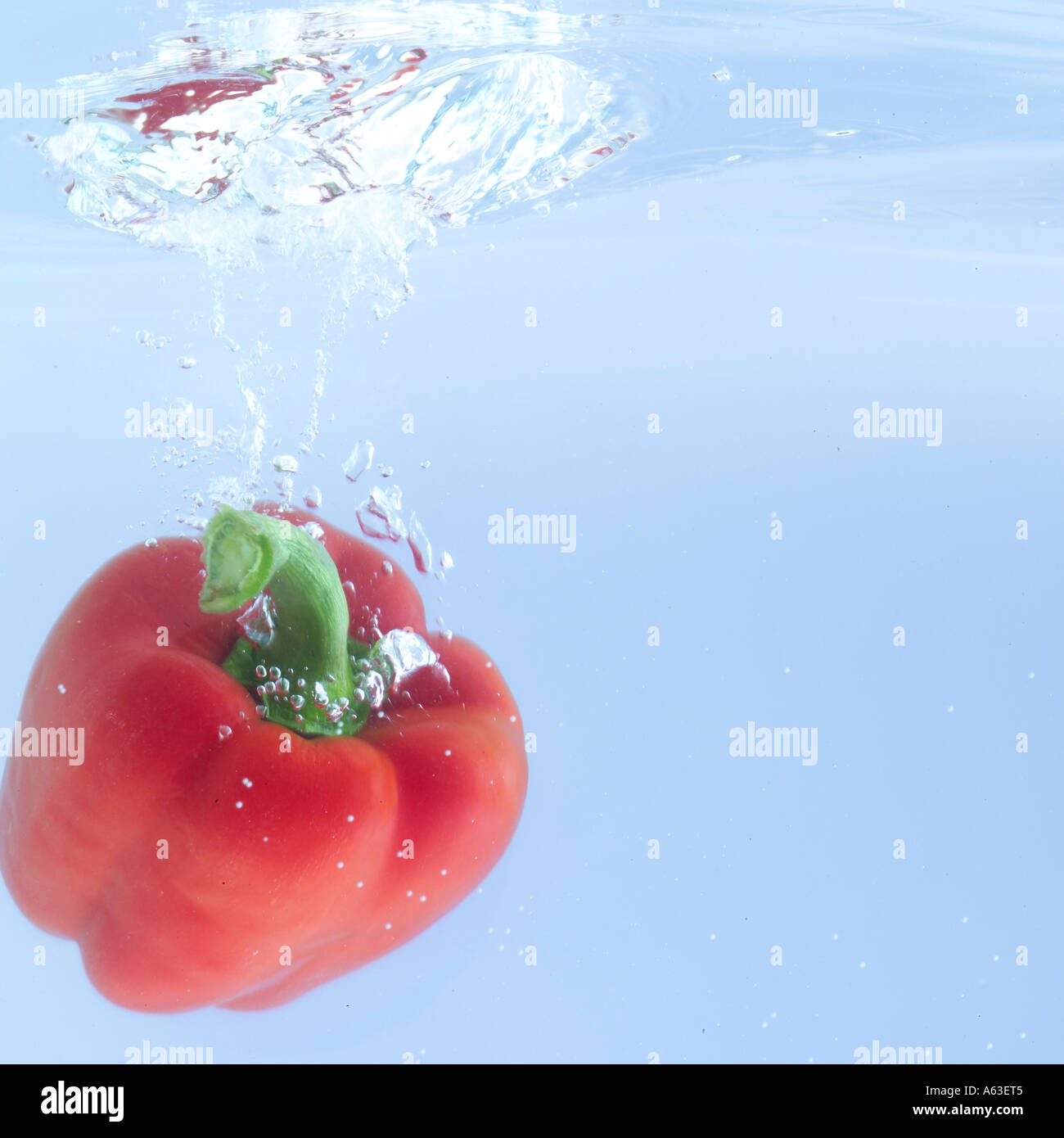 Close-up of red bell peppers splashing in water Stock Photo