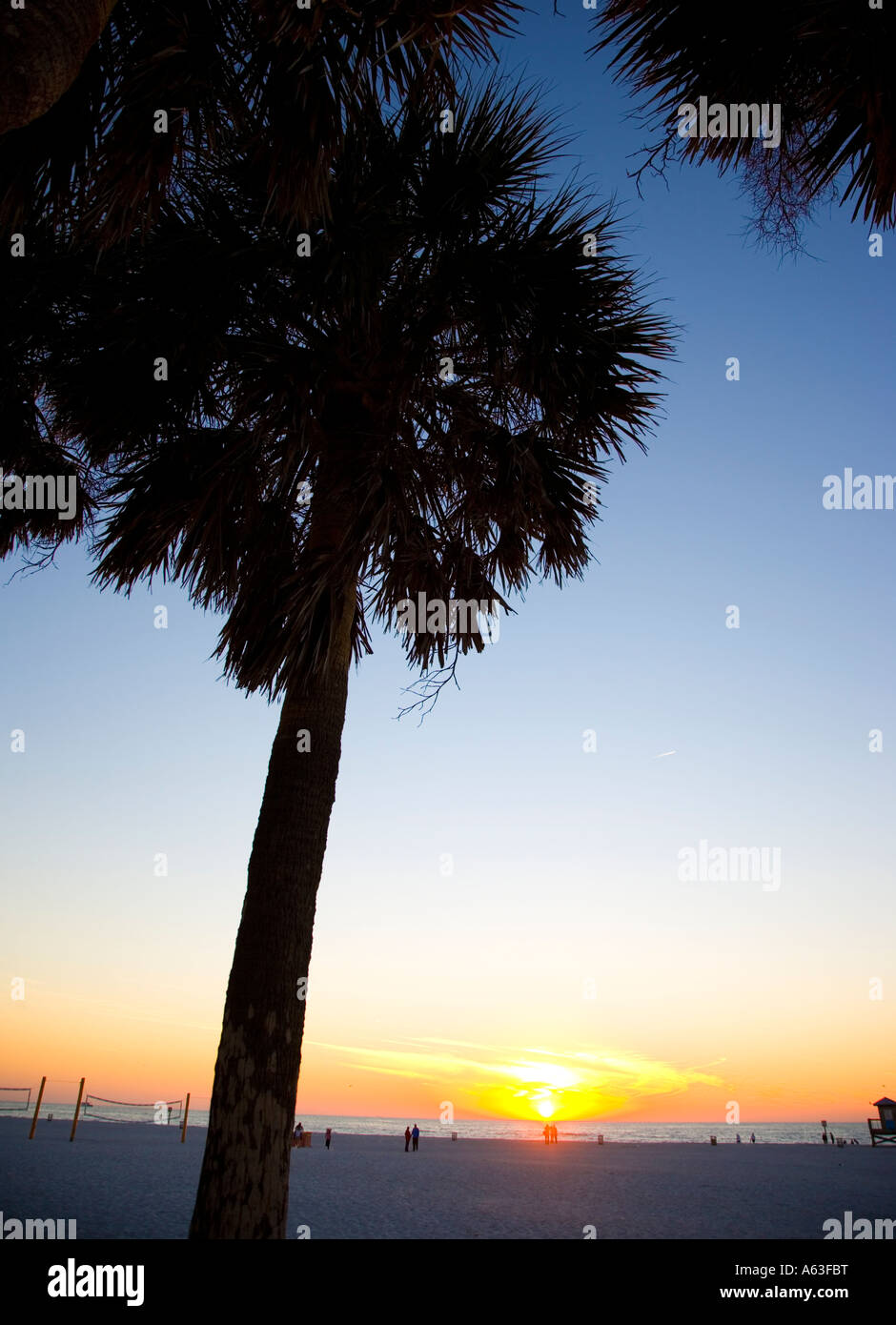 Volleyball nets on the beach at sunset Stock Photo - Alamy
