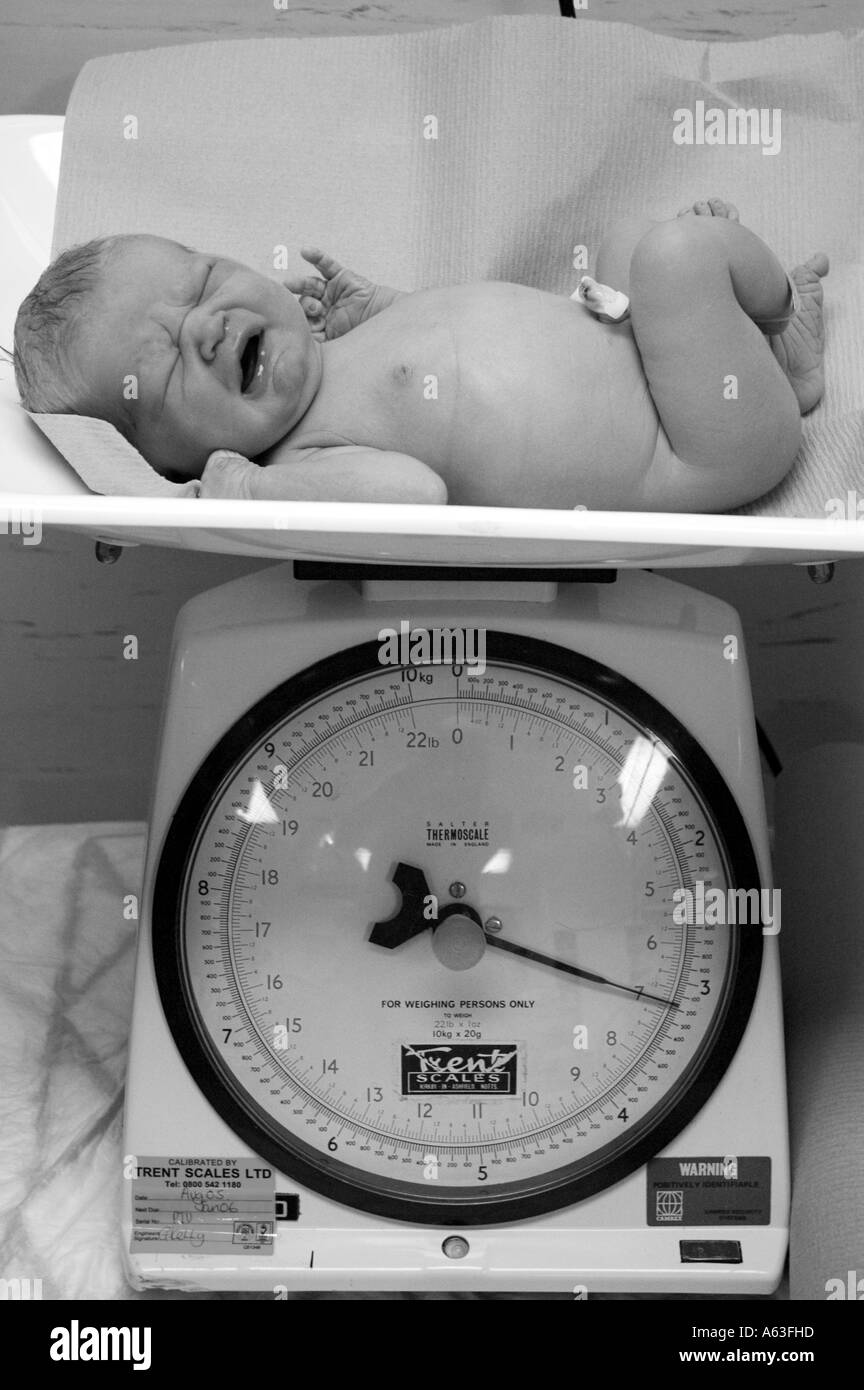 New born baby about 5 minutes old being weighed on the hospital scales Stock Photo