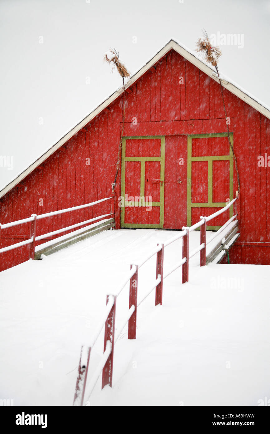 Norwegian barn in heavy snow Stock Photo