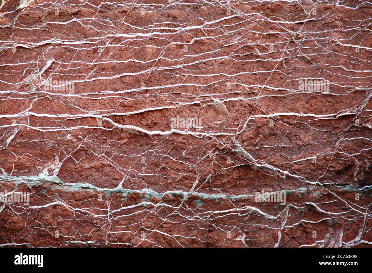 Veins of quartz in red metamorphic rock Stock Photo