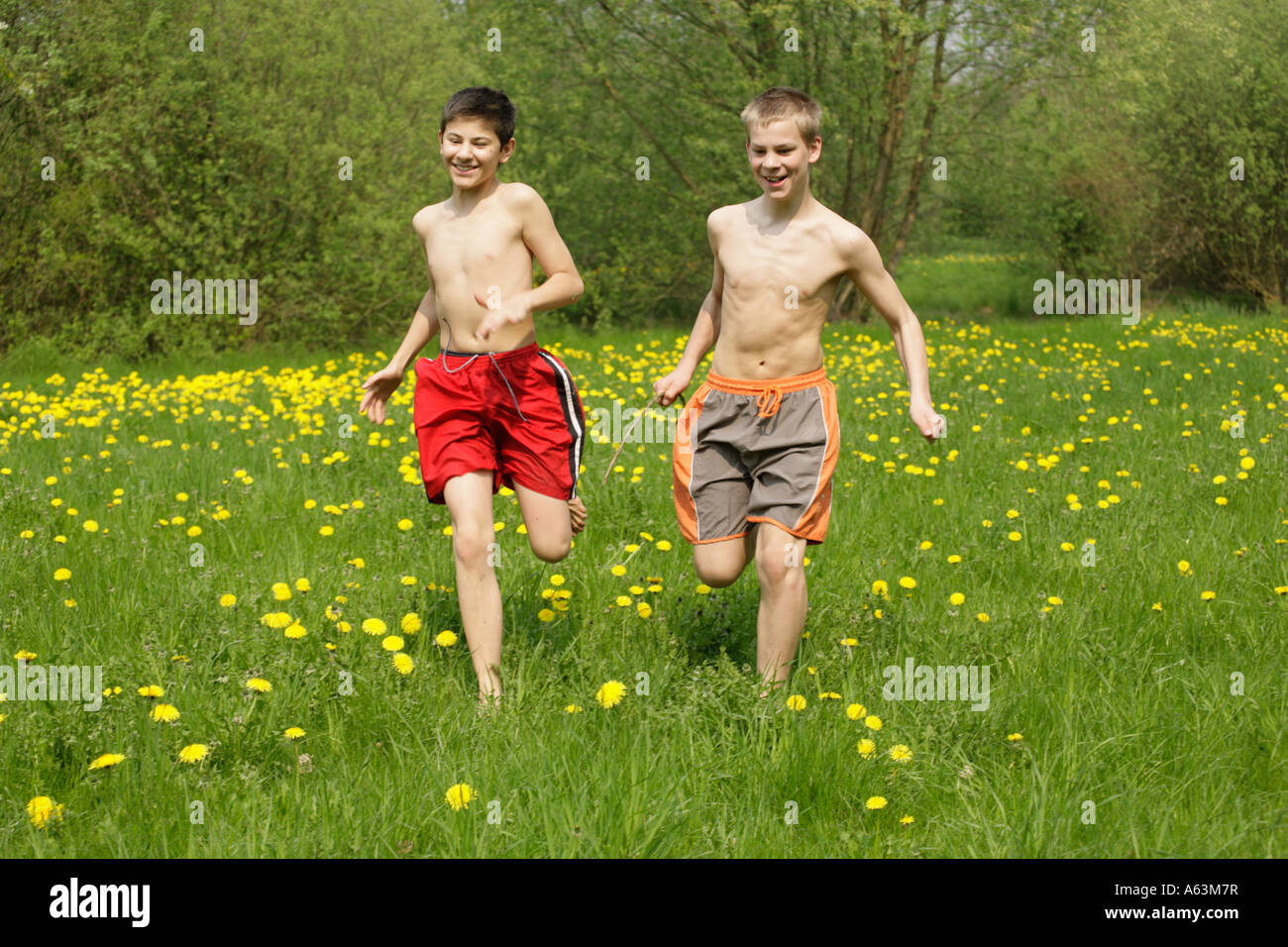 two young boys running across a meadow full of dandelions Stock Photo -  Alamy