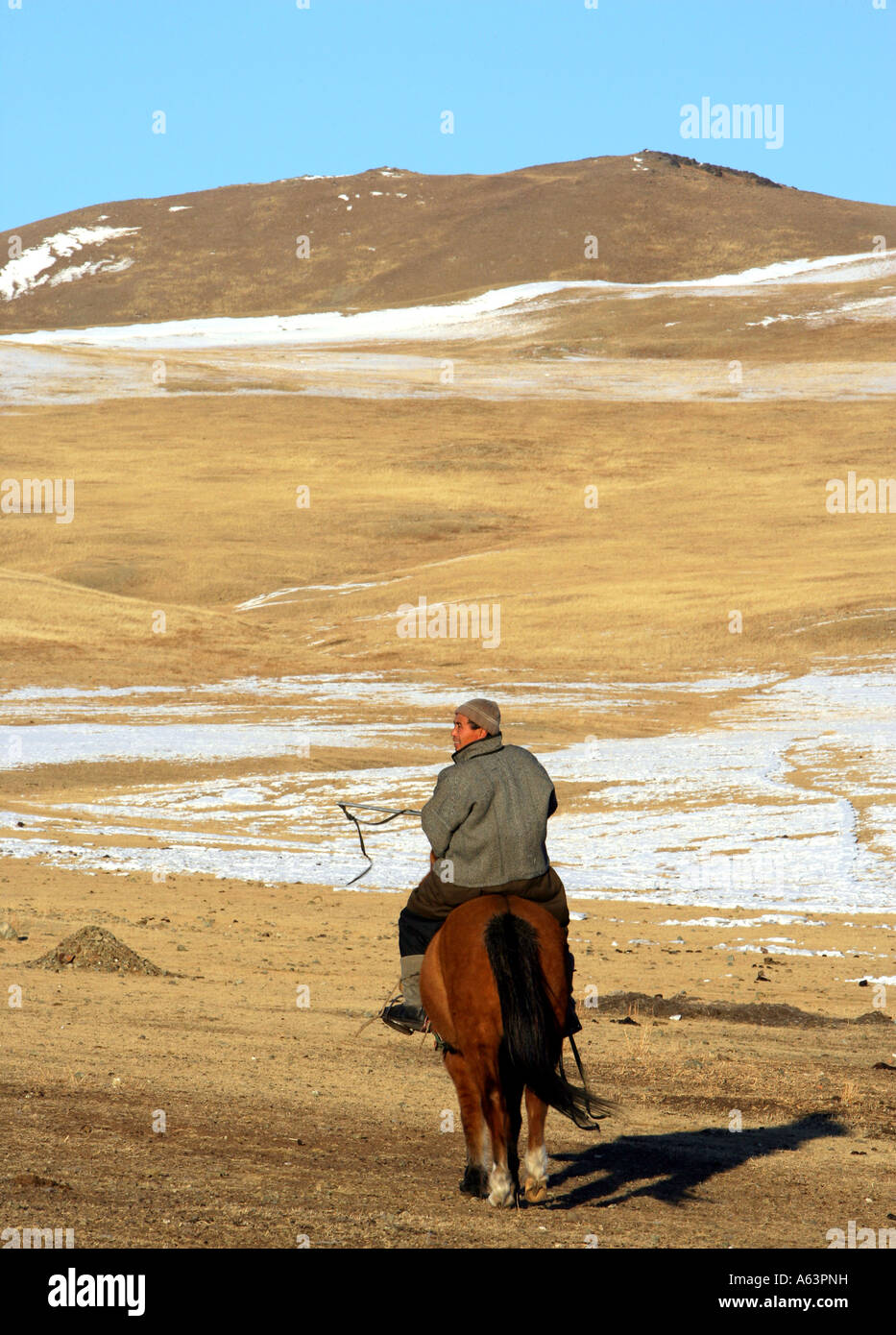 Mongolia, Nomad with his horse in the steppe at Zuunmod Stock Photo - Alamy