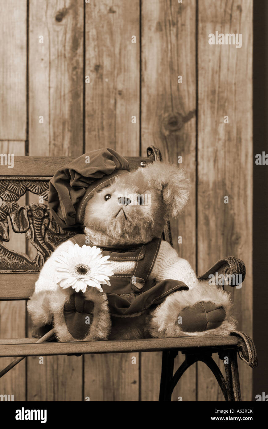 teddy bear sitting on garden bench Stock Photo - Alamy